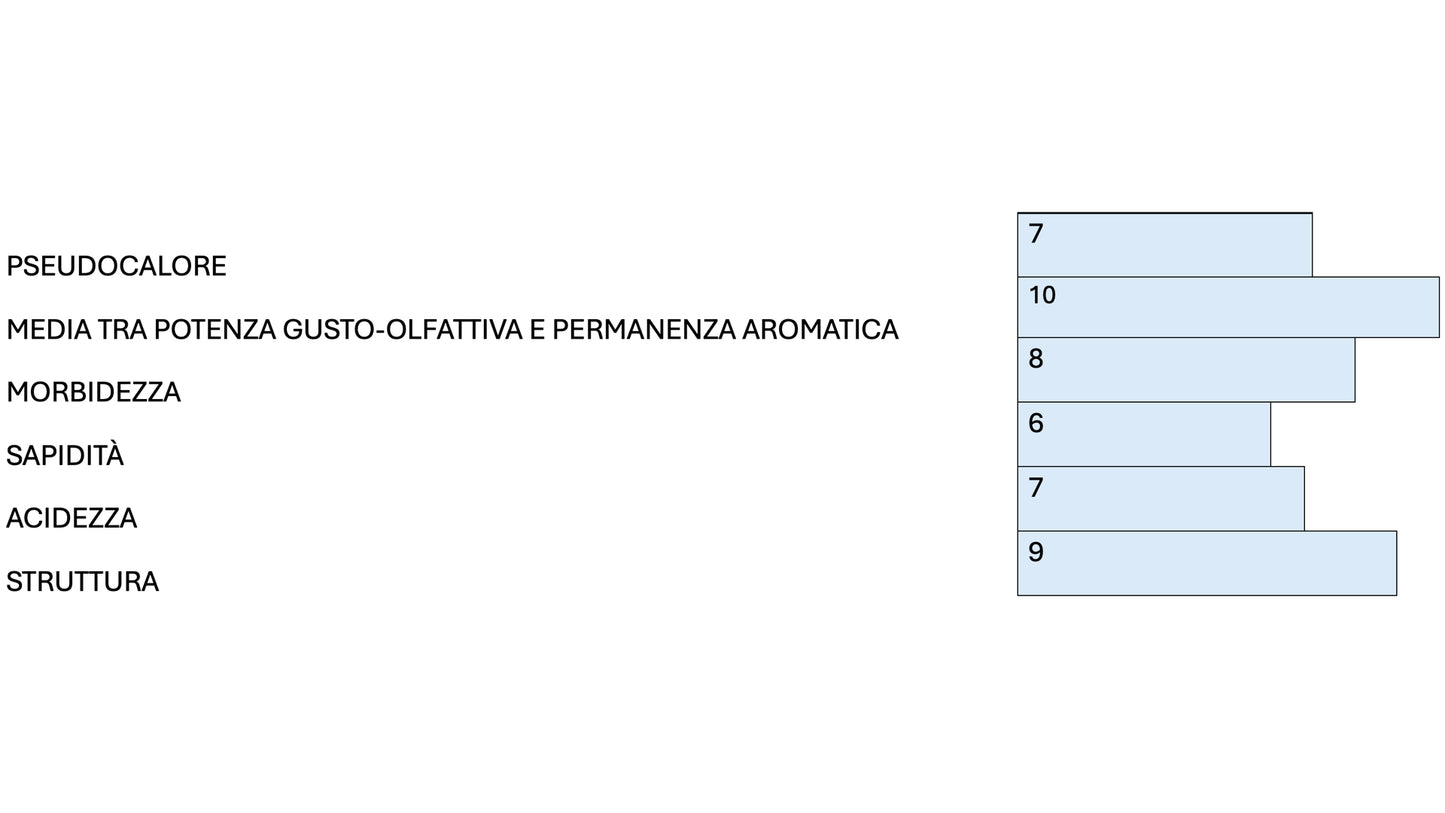PORTO L.B.V.